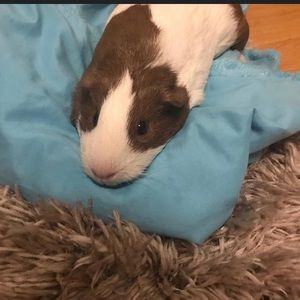 Meet your Posher, Alaina